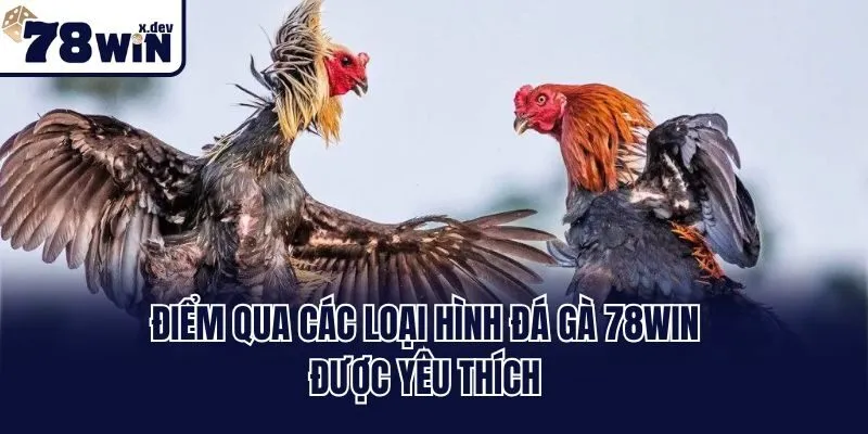 Đá Gà 78win - Kê Trường Đỉnh Cao Thách Thức Mọi Giới Hạn 3 Điểm qua các loại hình đá gà 78win được yêu thích