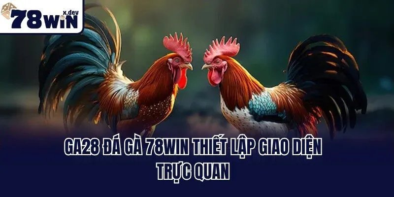 GA28 Đá Gà 78win - Thánh Địa Chọi Kê Trực Tiếp Đỉnh Cao 2 GA28 đá gà 78win thiết lập giao diện trực quan