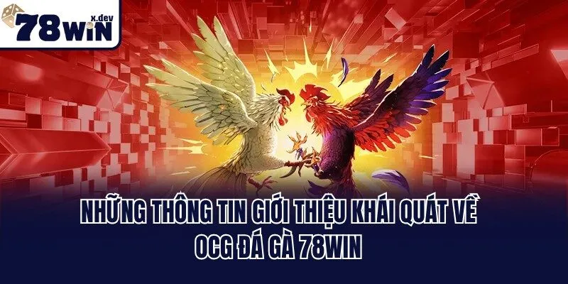 OCG Đá Gà 78win - Hội Tụ Những Trận Đấu Thần Kê Đỉnh Cao 1 Những thông tin giới thiệu khái quát về OCG đá gà 78win